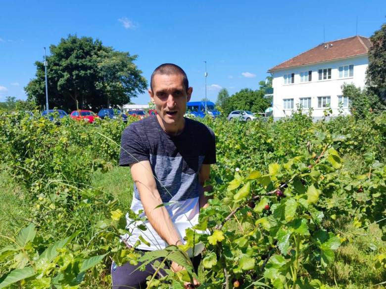 Dnes sme oberali jostu na zajtrajšiu bublaninu | obrázok č.: 6 