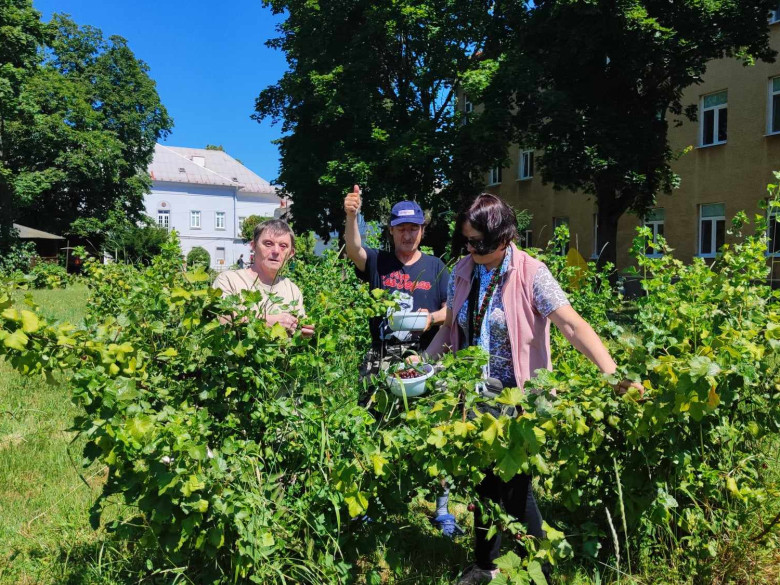 Dnes sme oberali jostu na zajtrajšiu bublaninu | obrázok č.: 5 